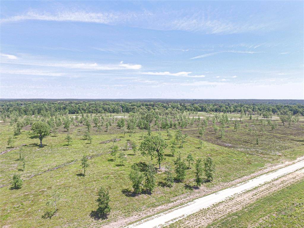 Onalaska, TX 77360,00030 Brushy Creek Ranch Rd