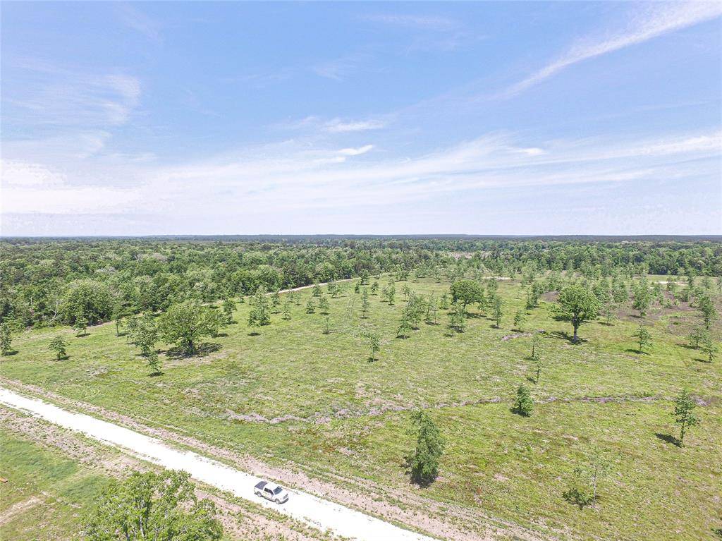 Onalaska, TX 77360,00030 Brushy Creek Ranch Rd