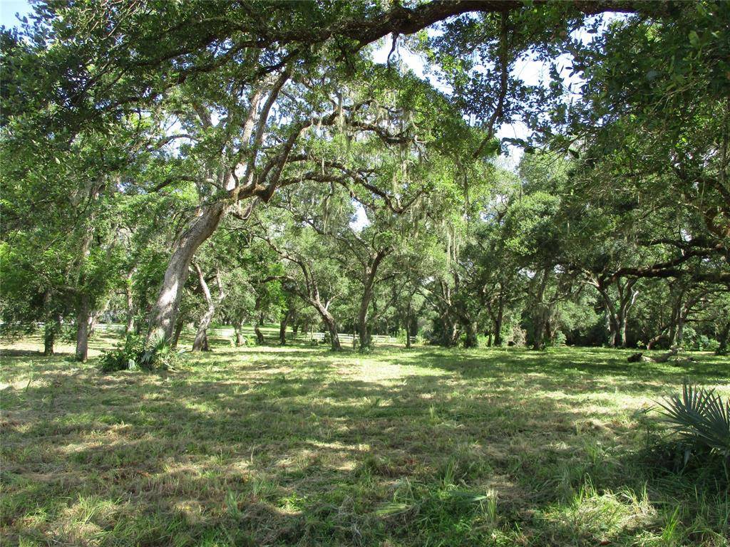 Sweeny, TX 77480,000 COUNTY ROAD 684C