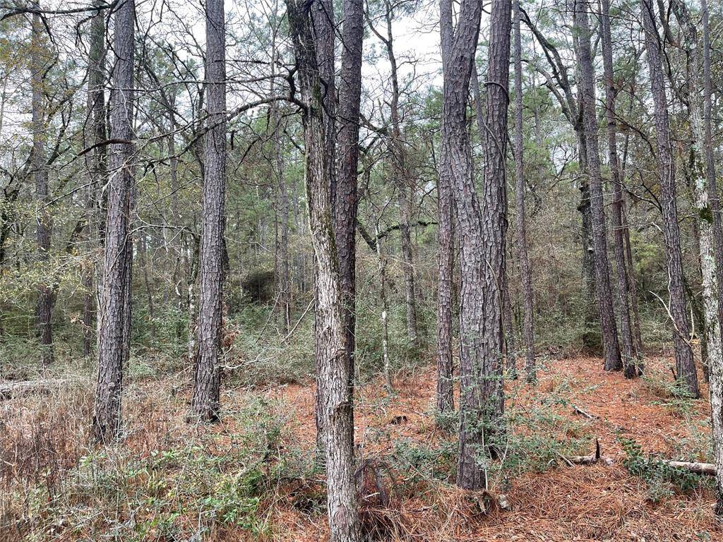 Plantersville, TX 77363,lot 20 Hackberry DR