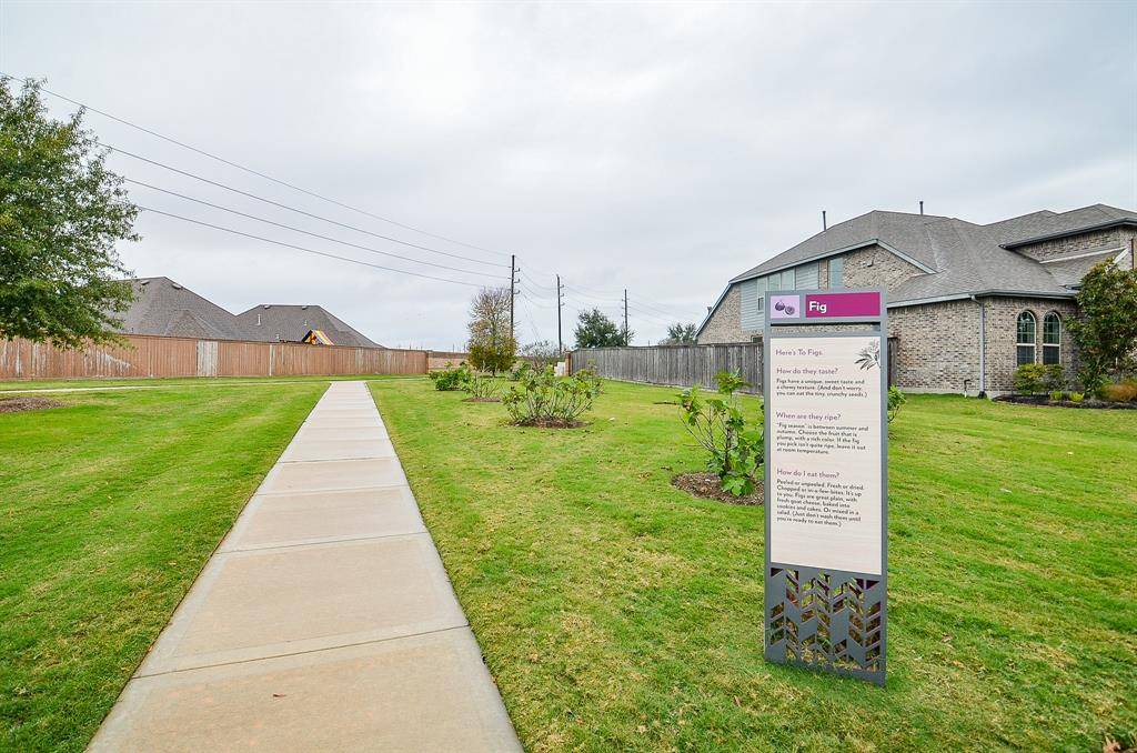 Katy, TX 77493,23734 Daintree PL