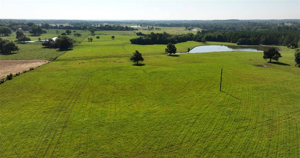 Navasota, TX 77868,6142-56 CR 313 RD