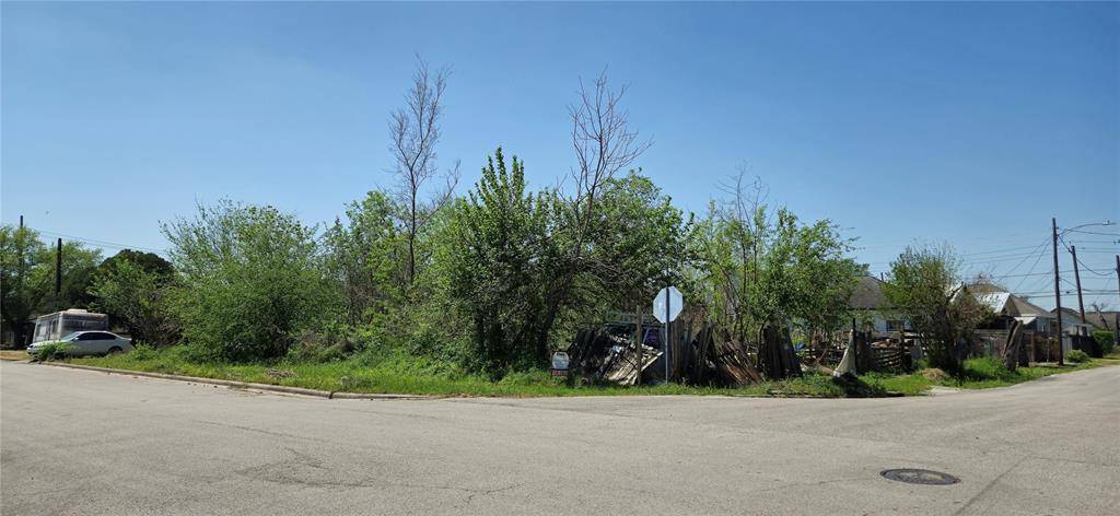 house_img