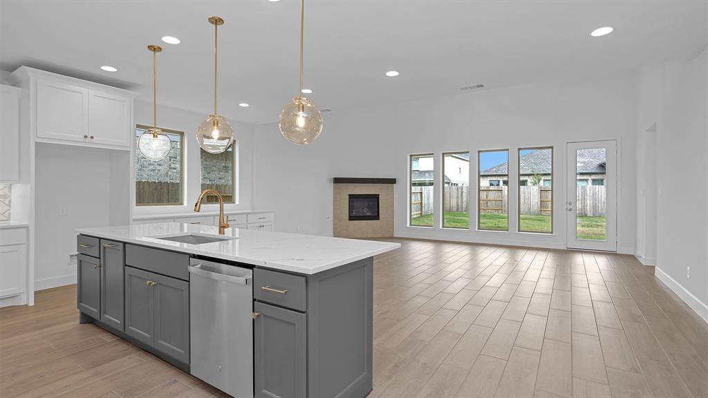 Manvel, TX 77578,18819 Pear Slice DR