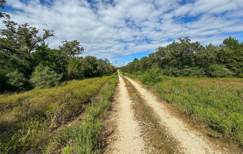 Caldwell, TX 77836,TBD off Quail Run Road - 50 acres