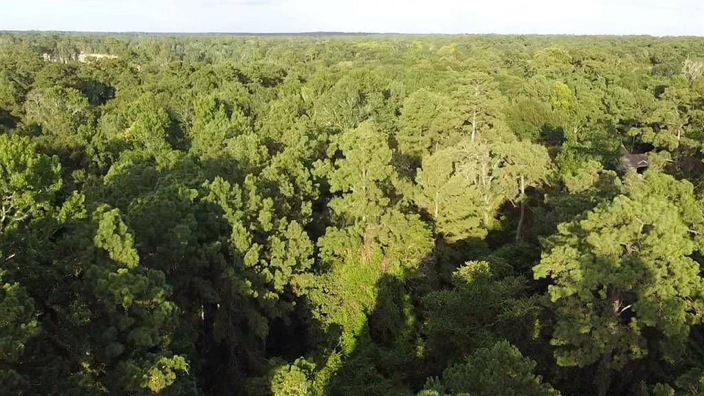 Hockley, TX 77447,0 Prop ID 101208