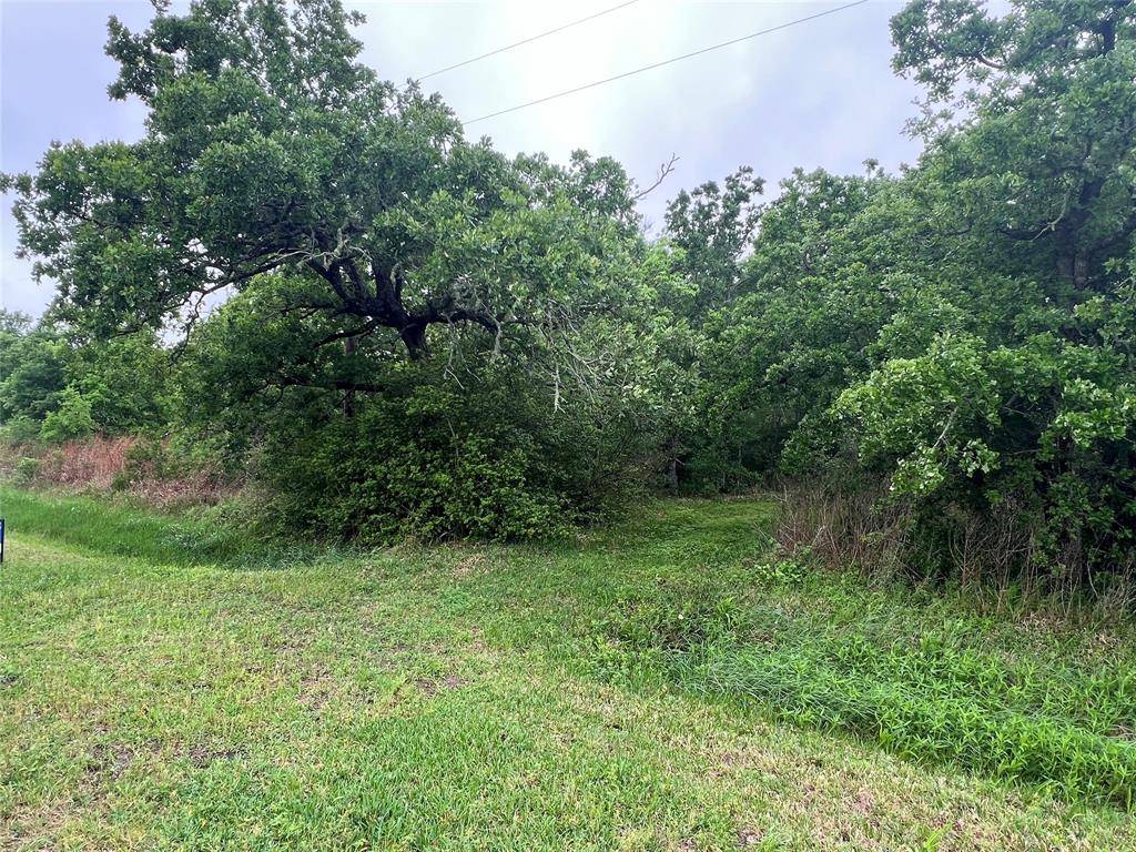 Anahuac, TX 77514,0 S Shady Glen DR