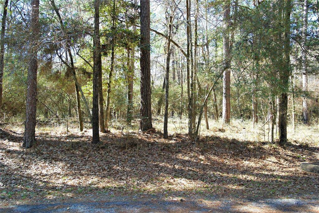 Trinity, TX 75862,Lot 3 Magnolia