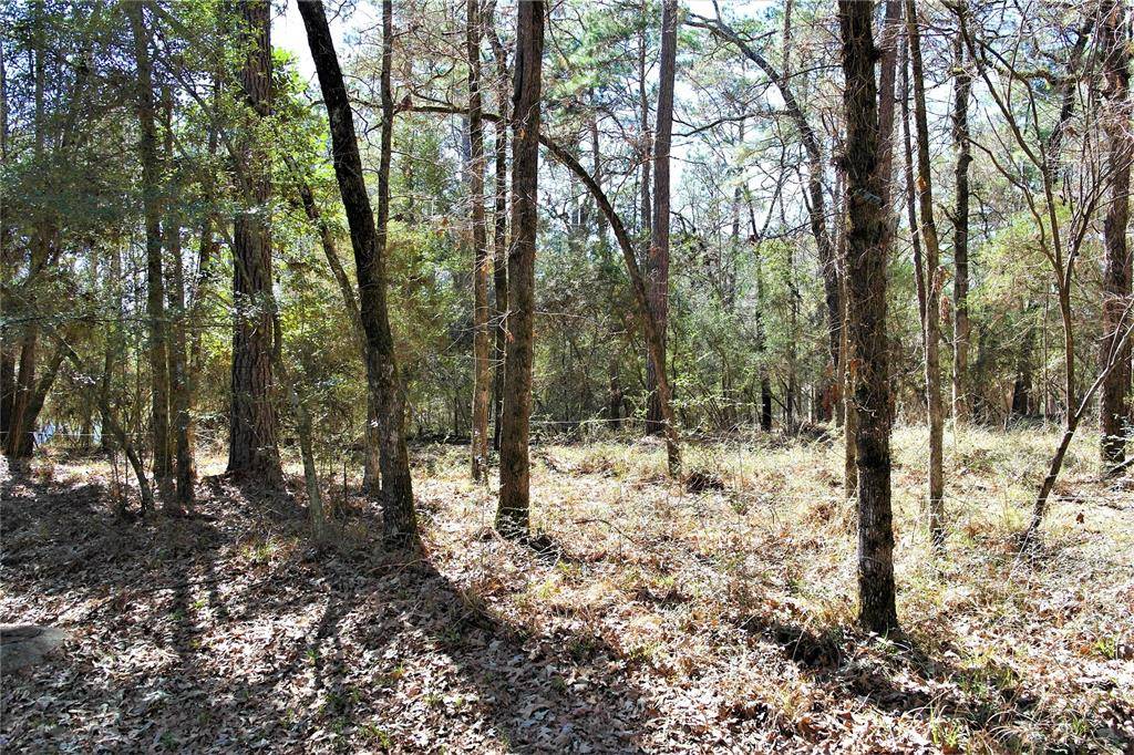 Trinity, TX 75862,Lot 3 Magnolia