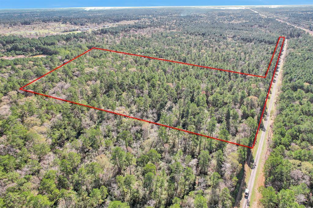Plantersville, TX 77363,TBD CR 302