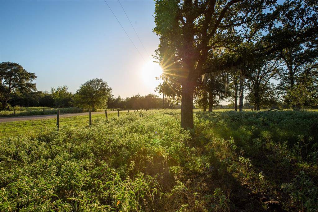 New Ulm, TX 78950,TBD Cummins Creek RD