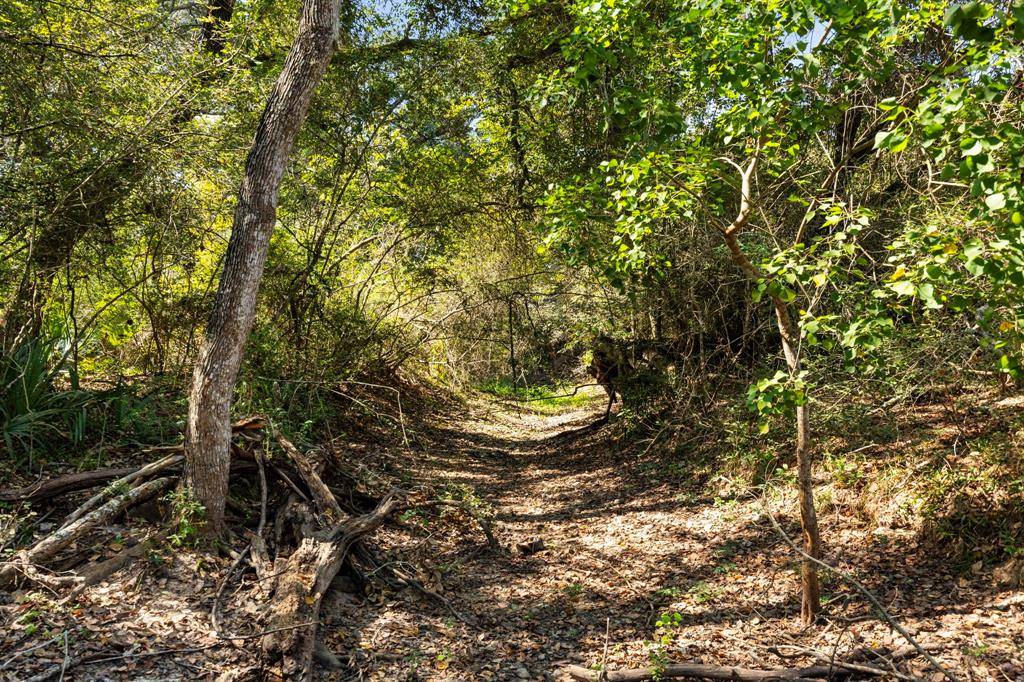 Columbus, TX 78934,TBD (TR3) Joshua Tree Lane At Brunes Mill Rd