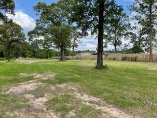 Magnolia, TX 77355,31902 Walnut Creek RD