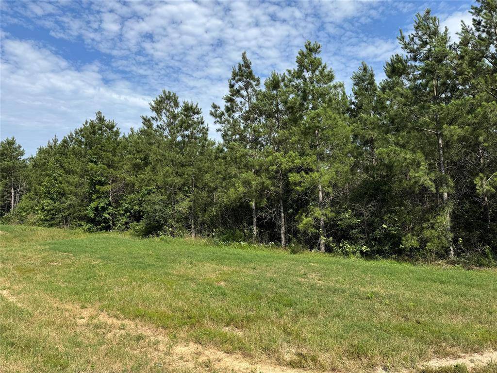 Willis, TX 77378,15492 Wood Grove WAY