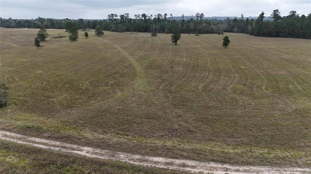 Huntsville, TX 77340,14.16 Acres Tract 2 TBD Percy Howard RD