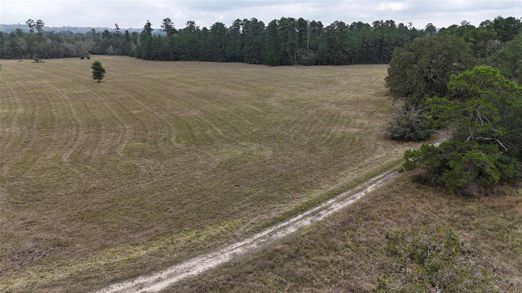 Huntsville, TX 77320,14.16 Acres Tract 2 TBD Percy Howard RD