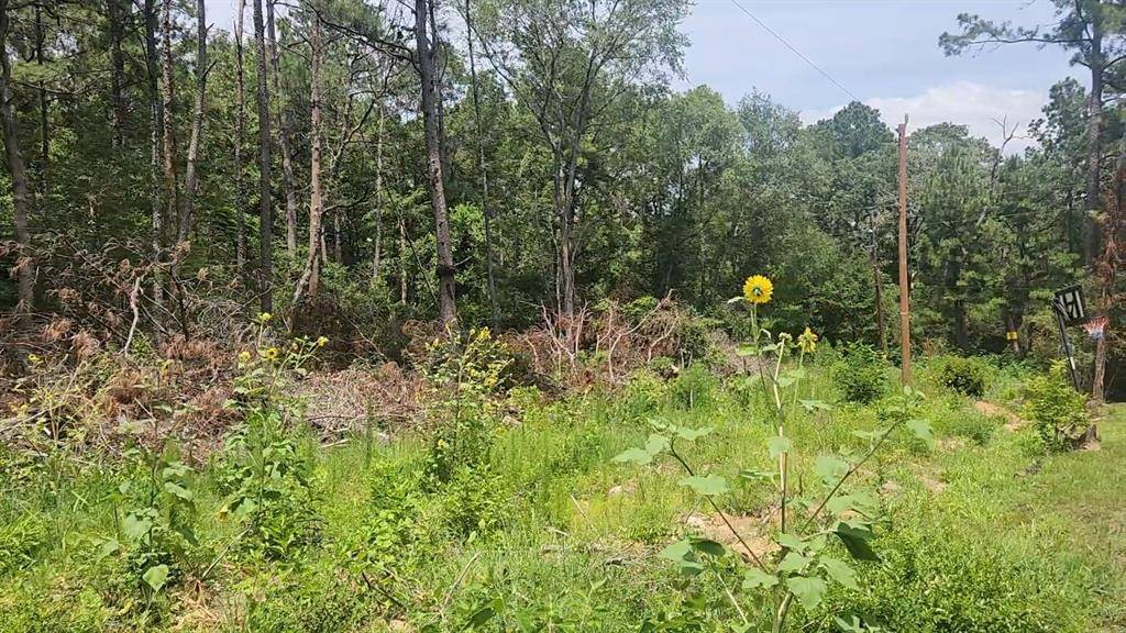 Plantersville, TX 77363,Lot 28 Honey Locust LN