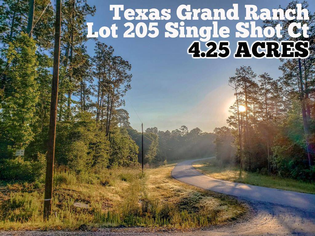 Huntsville, TX 77340,Lot 205 Single Shot CT