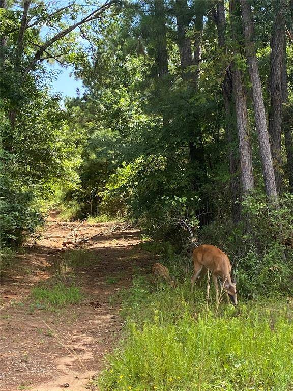 Plantersville, TX 77363,9758 Renfaire DR