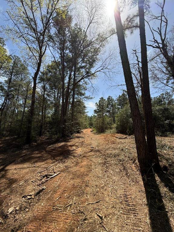 Plantersville, TX 77363,9758 Renfaire DR