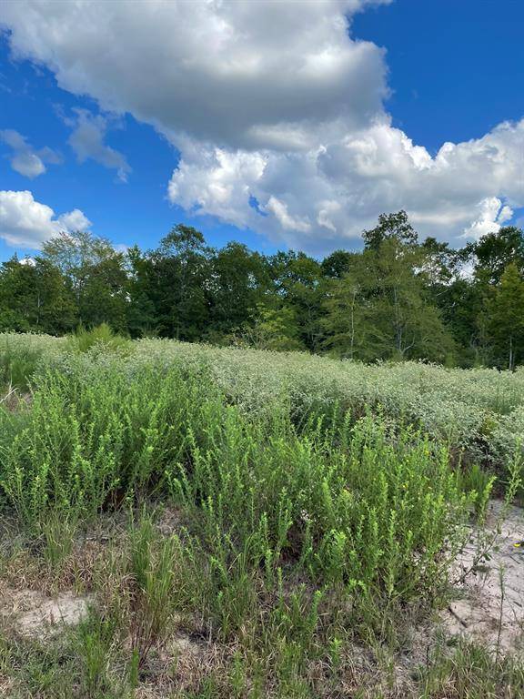 Kennard, TX 75847,000 TBD CR 1170 Tract 3