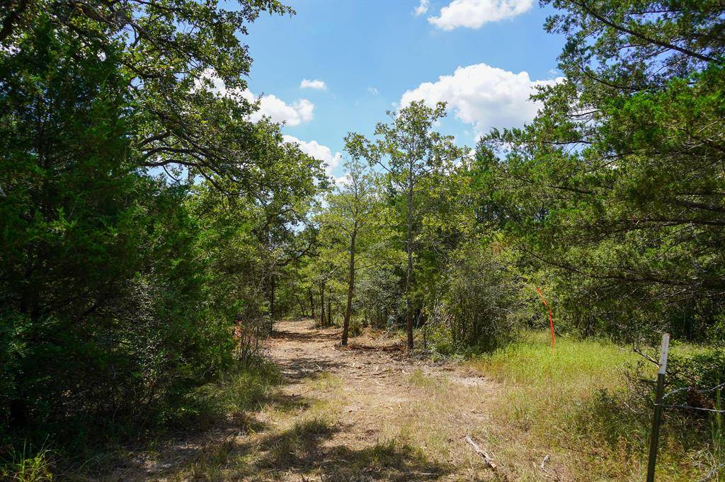 Anderson, TX 77830,Lot 6 TBD County Road 190