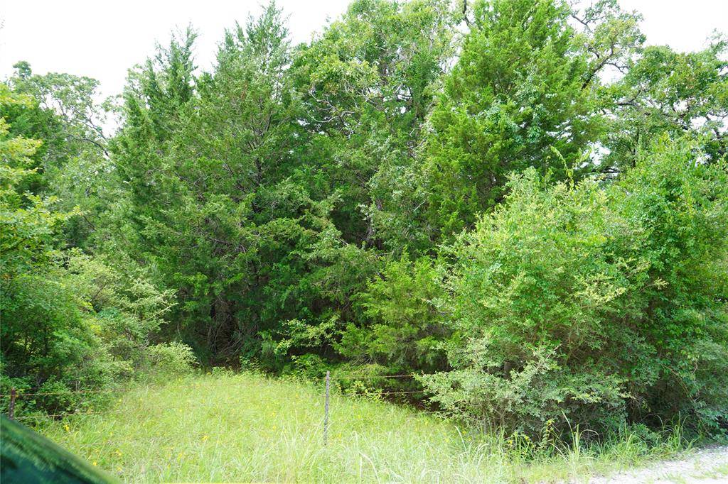 Anderson, TX 77830,Lot 6 TBD County Road 190