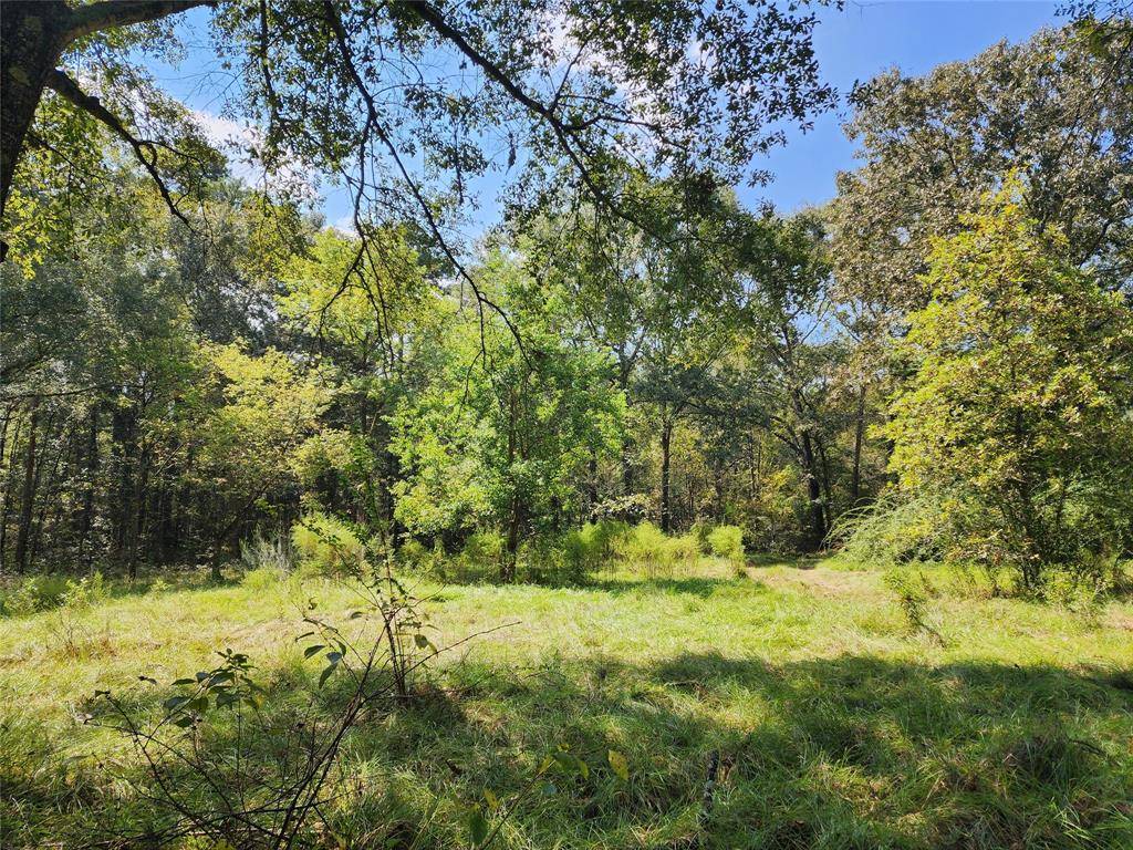 Huntsville, TX 77340,118 Ranch Acres DR