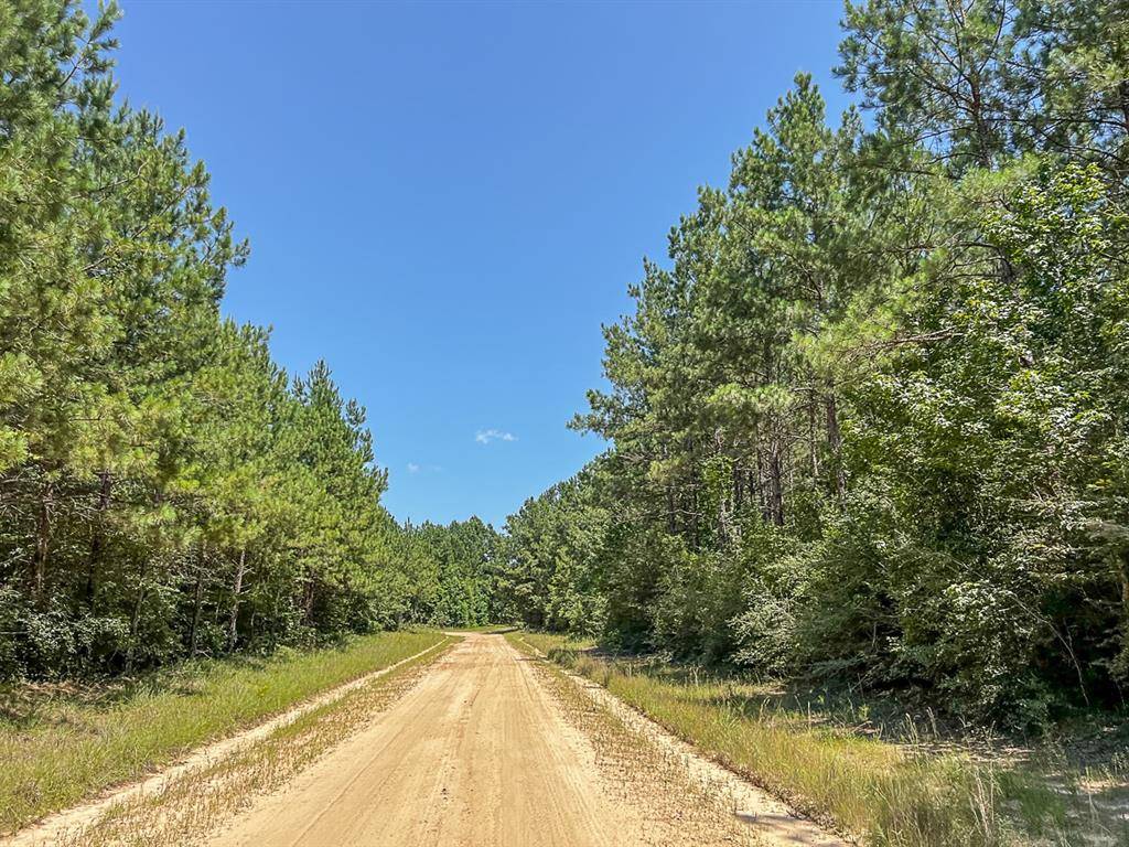 Zavalla, TX 75980,000000 CR 368A