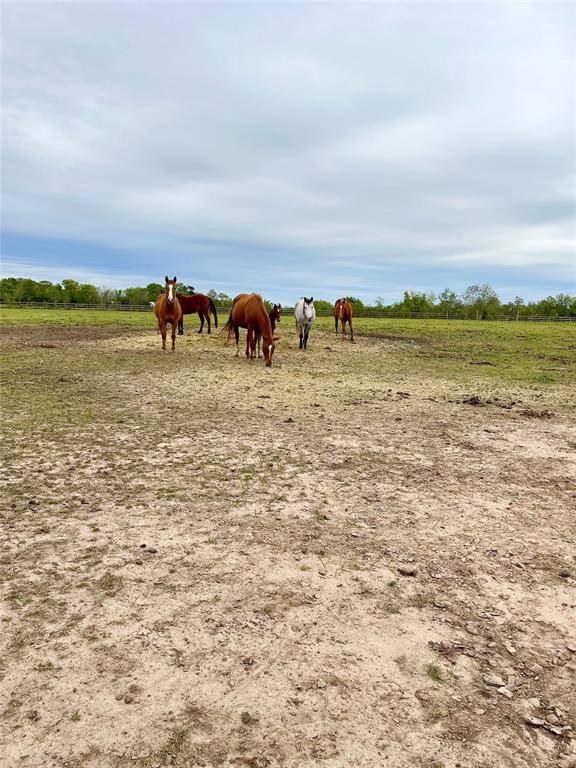 Pattison, TX 77423,000 Clapp RD