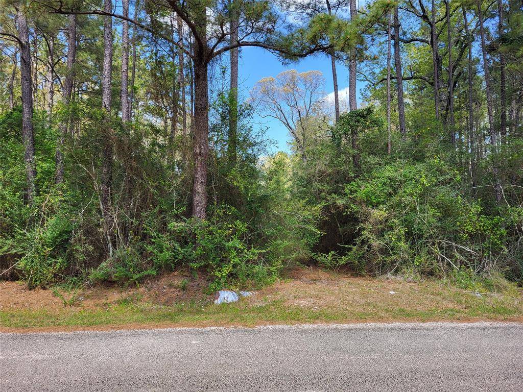 Coldspring, TX 77331,TBD S Sierra ST