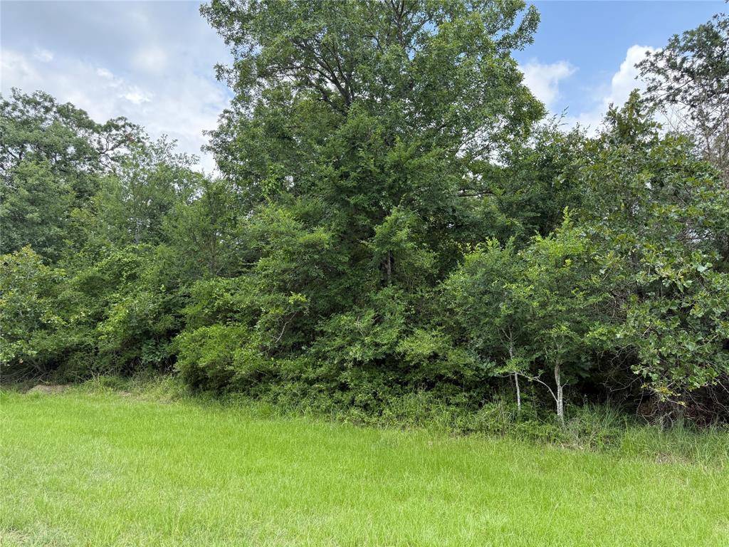 Marquez, TX 77865,0 Lake Wood Drive