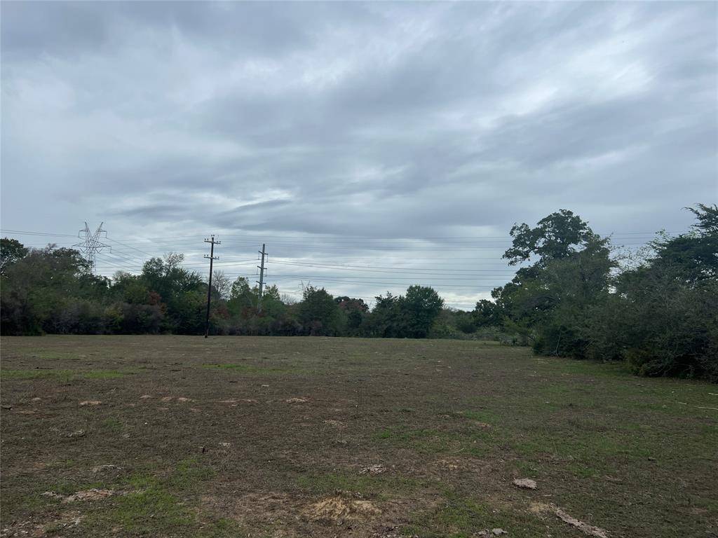 Iola, TX 77861,Lot 4 County Road 166