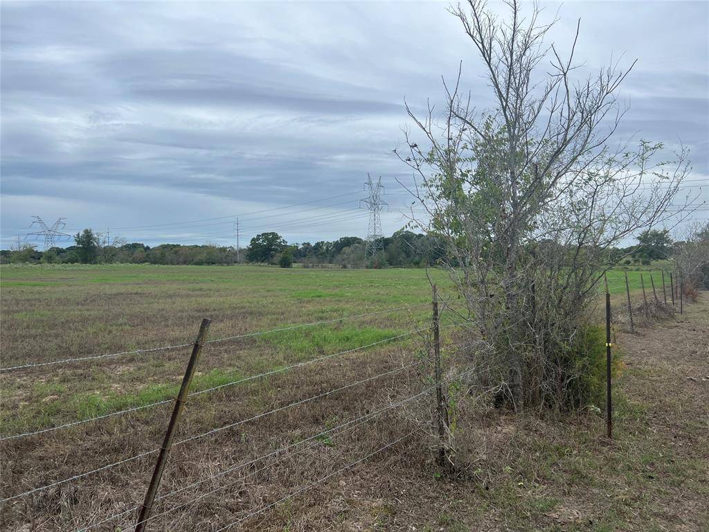 Iola, TX 77861,Lot 4 County Road 166