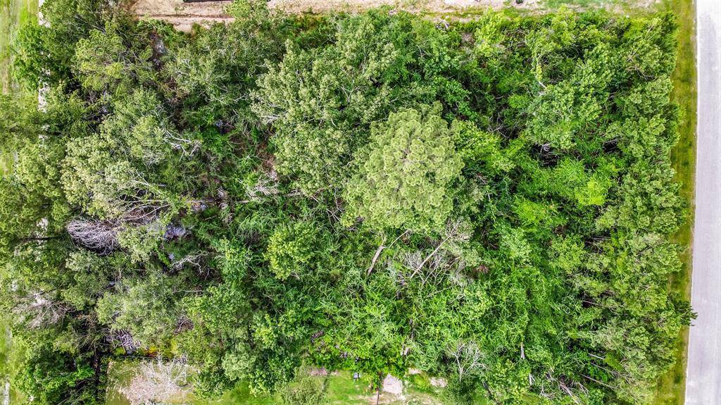 Spring, TX 77386,5510 Pine Wood Meadows LN
