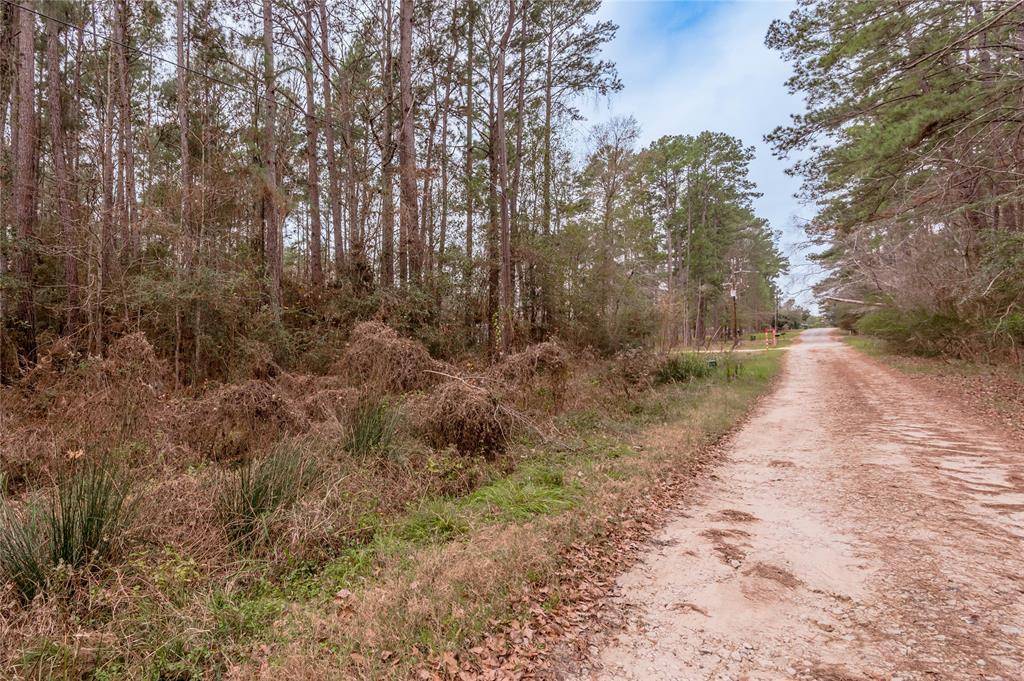 Huntsville, TX 77340,1ac Gazebo ST