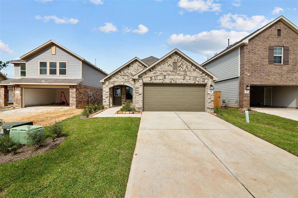 Willis, TX 77378,336 Flowering Orchid LN