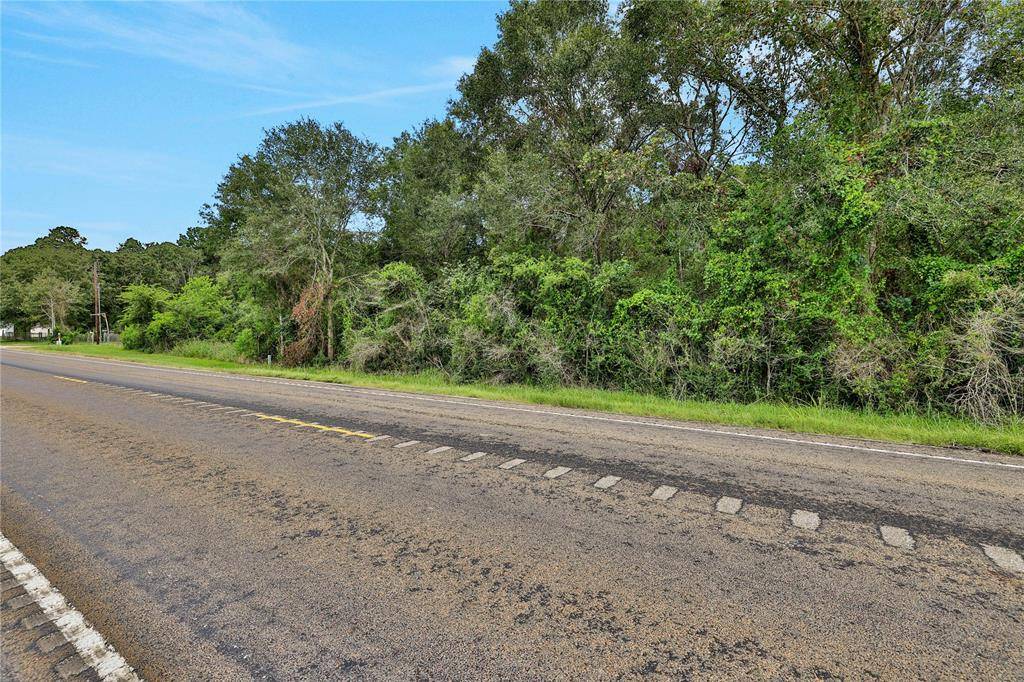 Coldspring, TX 77331,TBD Hwy 156