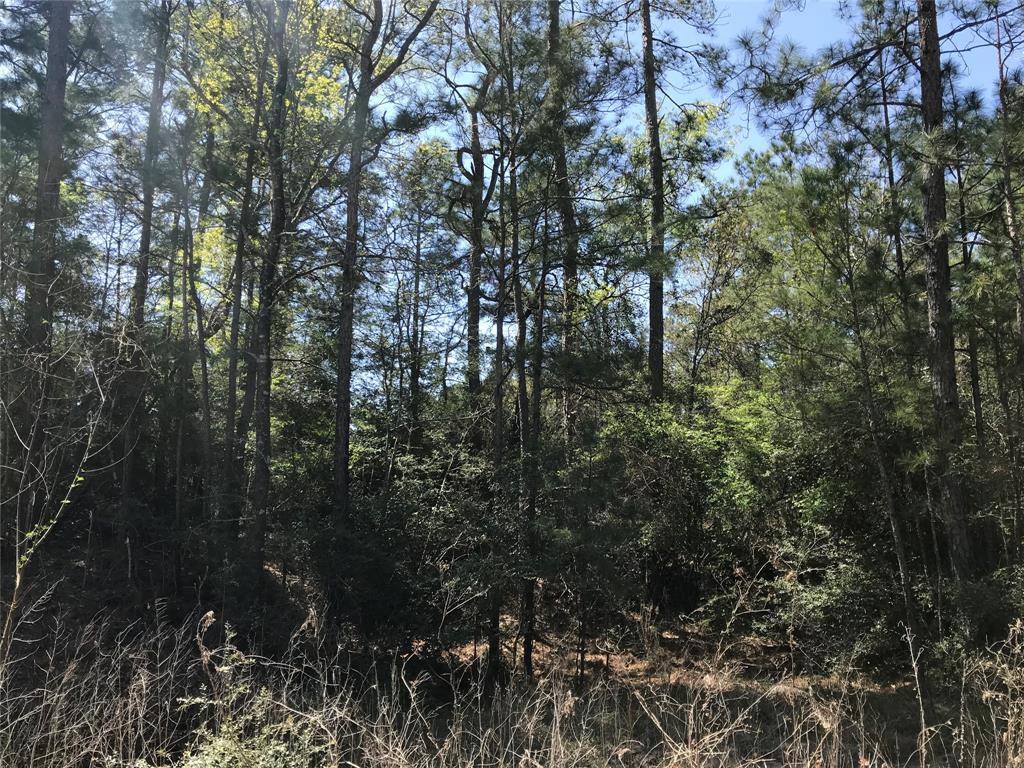 Onalaska, TX 77360,tbd lot 28 Parkview DR