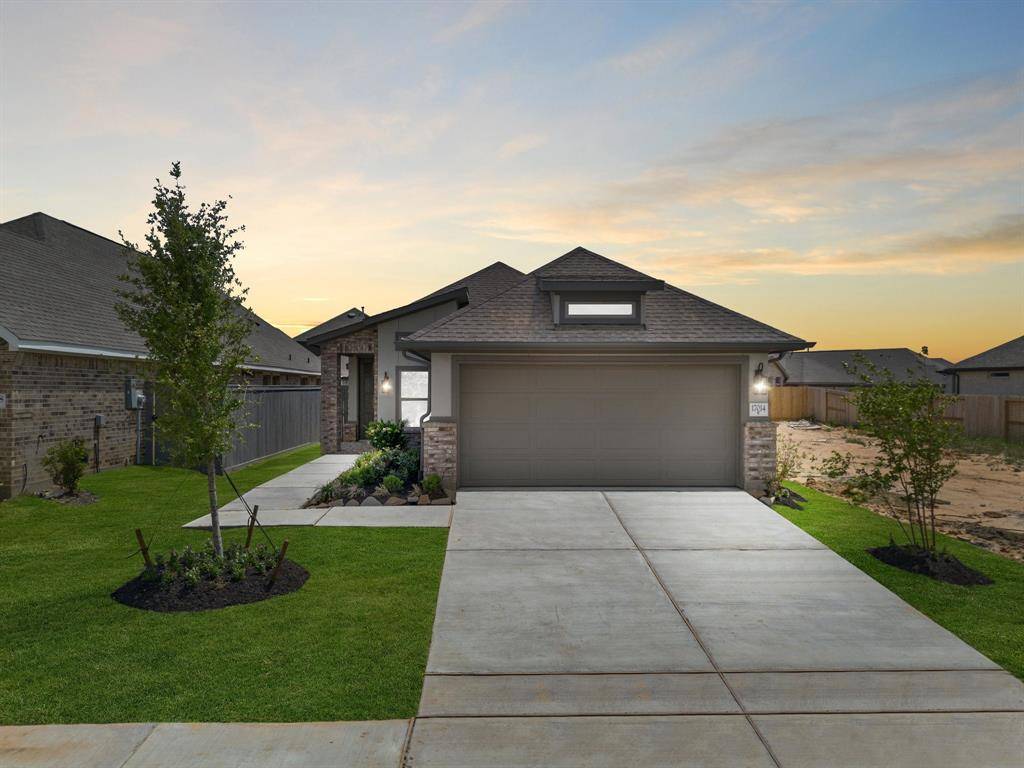 Hockley, TX 77447,17014 Shimmer Ray ST