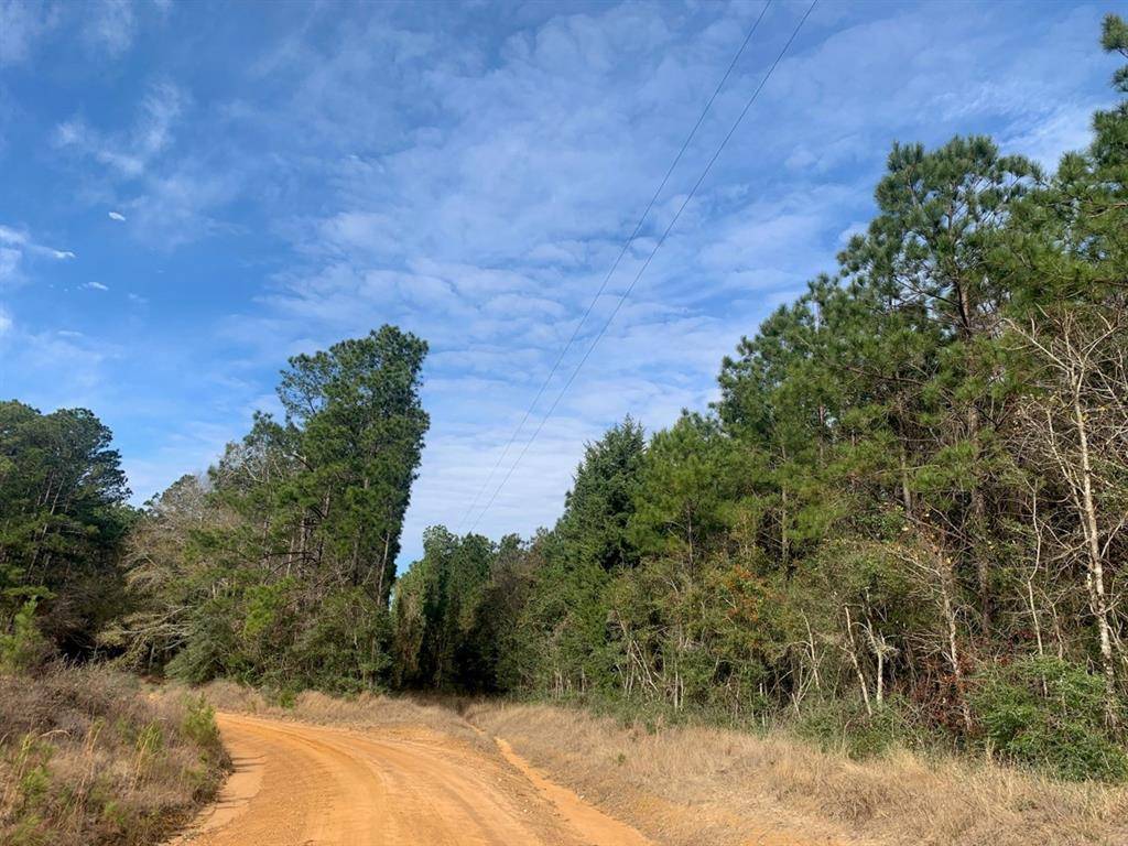 Livingston, TX 77351,000 Creel Rd