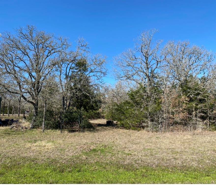 Somerville, TX 77879,Lot 601, 0 Deer Run ST