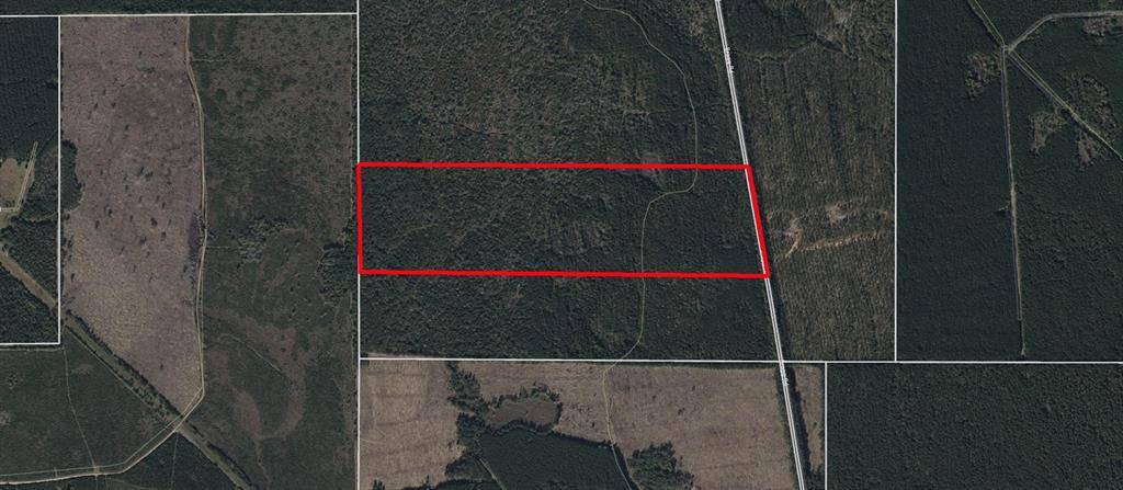 Kountze, TX 77625,000 Bragg RD