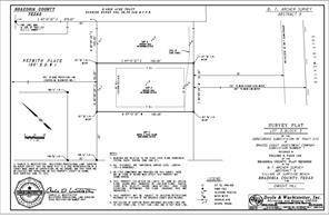 Surfside Beach, TX 77541,TBD lot 3 Nesmith PL