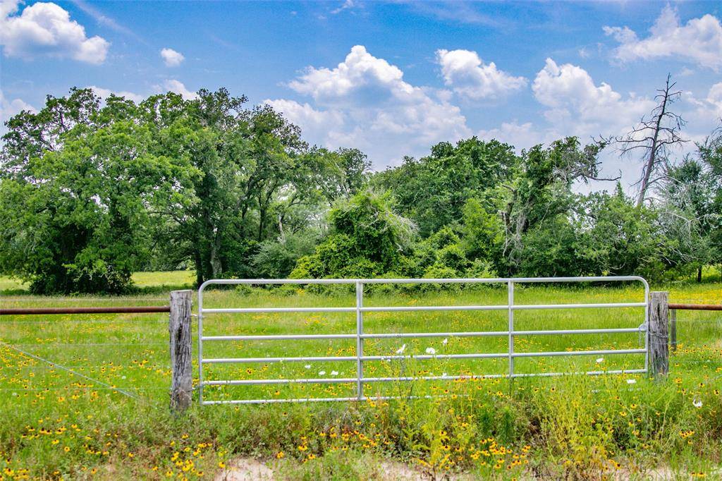 Somerville, TX 77879,Lot 29 (5 Acres) Legacy RD