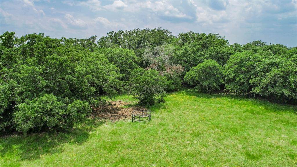 Somerville, TX 77879,Lot 29 (5 Acres) Legacy RD