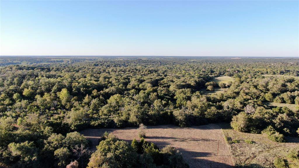 Gause, TX 77857,0000 CR 343