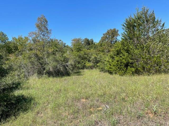 Gause, TX 77857,0000 CR 343