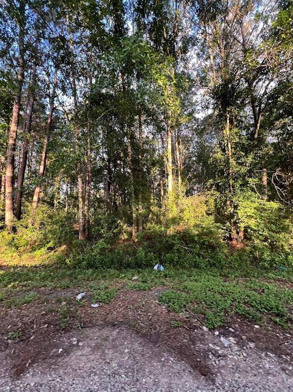New Caney, TX 77357,19233 Kings ROW