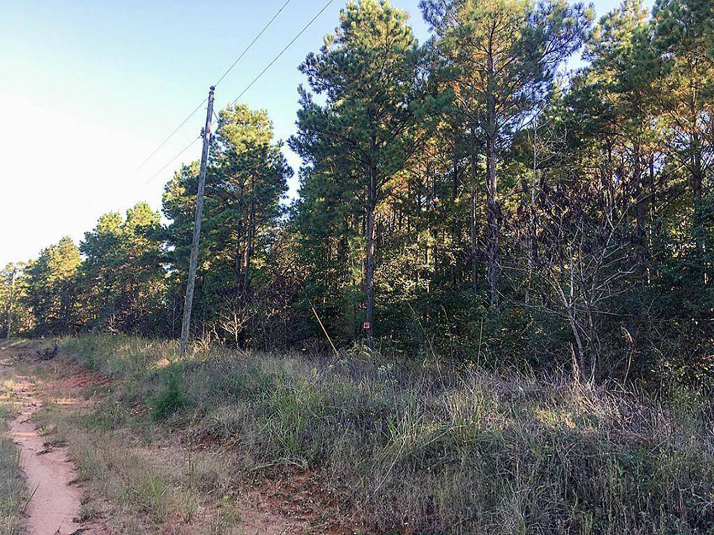 Oakhurst, TX 77359,22 AC Lone Oak RD